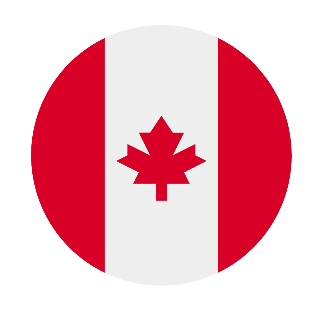 University of Toronto flag